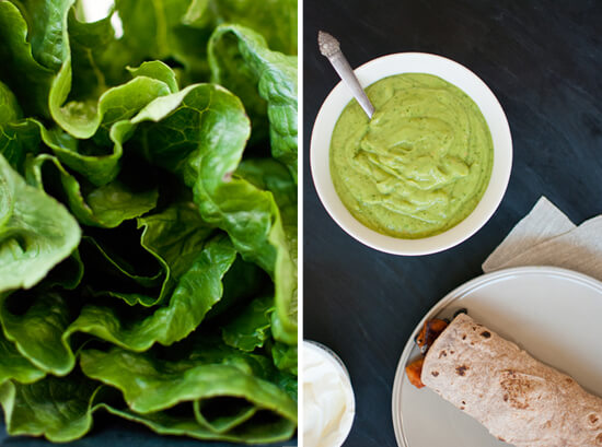 romaine lettuce and avocado sauce romaine lettuce and avocado sauce