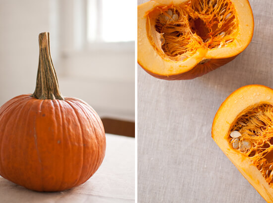 pie pumpkin pie pumpkin