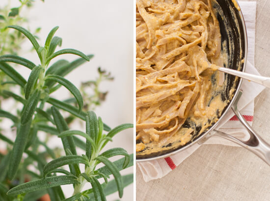 rosemary and pumpkin fettuccini rosemary and pumpkin fettuccini