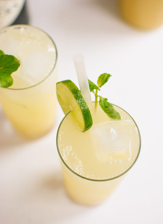 Ginger beer concentrate recipe