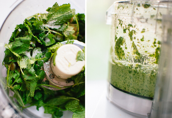 Avocado green harissa