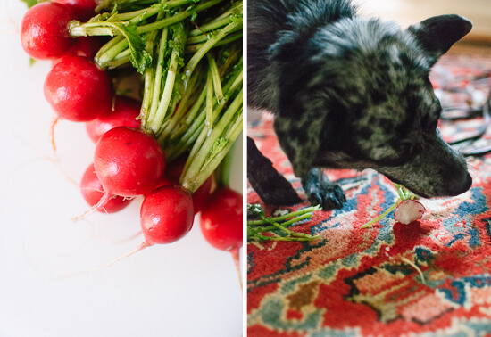 radishes