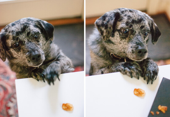 cookie