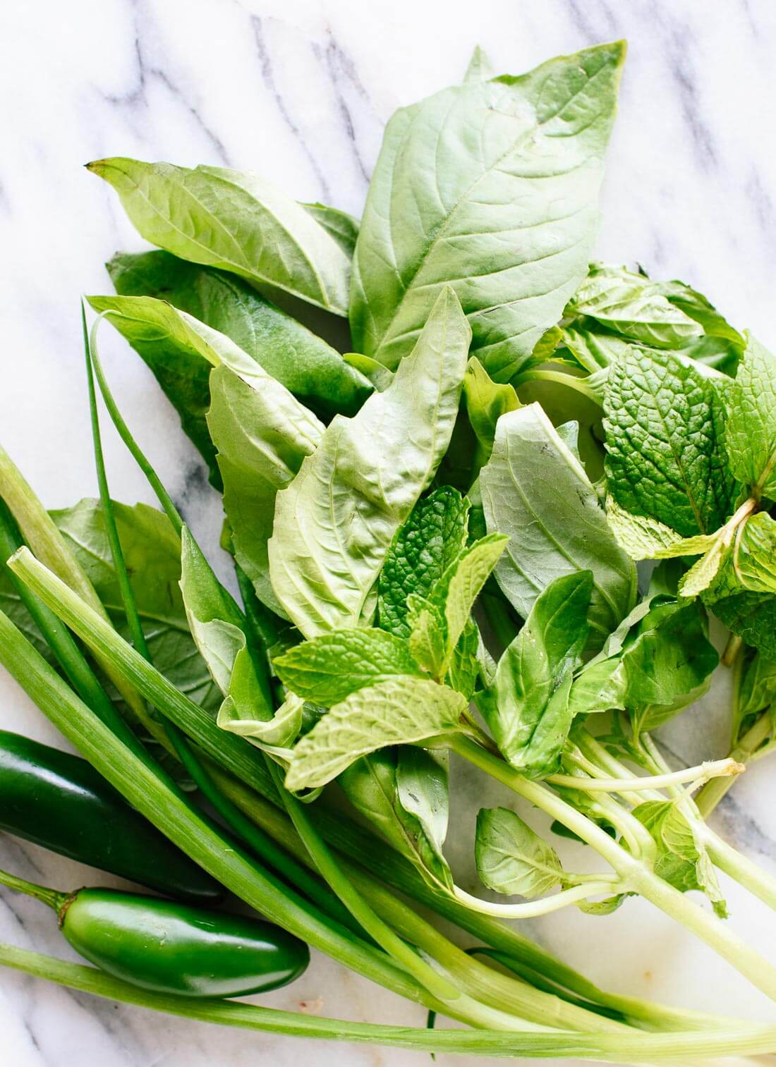 fresh herbs